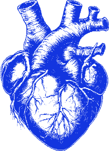 Heart33 emote