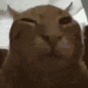 buhJAM emote
