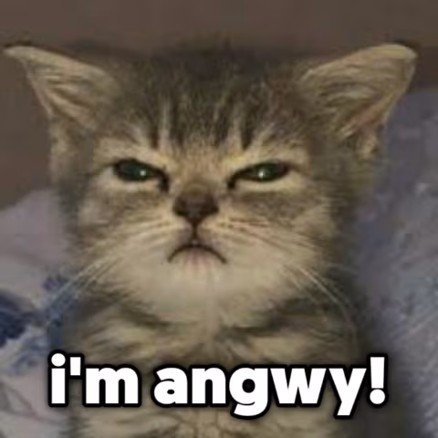 angwy emote
