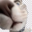 cat emote