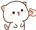 CatCute emote