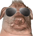 creatureBased emote