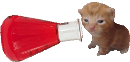 red40bert animated emote