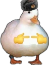 isforus emote