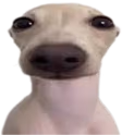 Hola emote