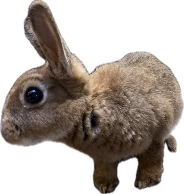 appleheadinterested emote