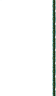 rope emote