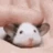 RatPet emote