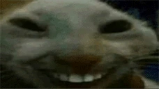 xddwakeup emoji