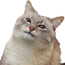 blini emote