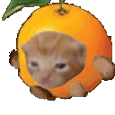 orangeRobertRun emote