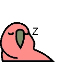 sleepingParrot emote