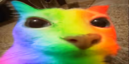 gayto emote