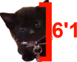 Tiny emote