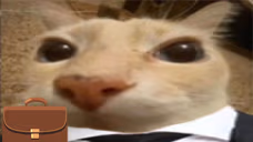 otagBusiness emote