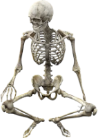 skeleton_twerk emote