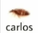 carlos emote