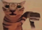 nokak emote