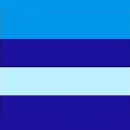other_transmasc_flag emote