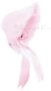 rightearfluffycute emote