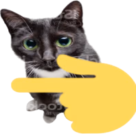 pointleftcat emote