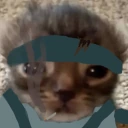 SolidCat emoji