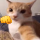 punch emote