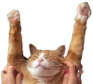 HOORAY emote