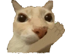 doseclap emote