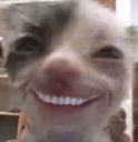 xde emote