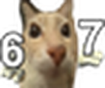 67 static emote