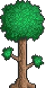 terraria emote