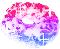 BiPizzaBagel emote
