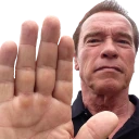 arnoldHalt emote