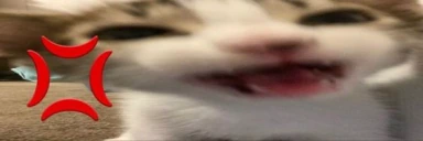 angy emote