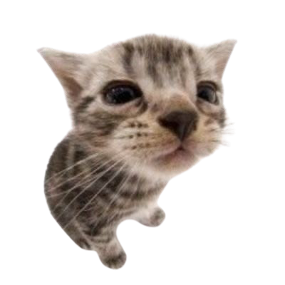 kawaii_cat_looking_camera static emote