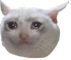 crying_cat emote