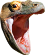 KomodoHype emote