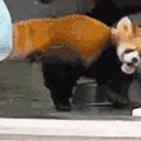redpandaSCREAM emote