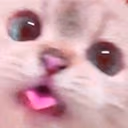 BLEP emote