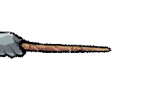 wandFR3 emote