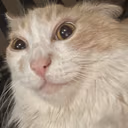 CE_CrazyLook emote
