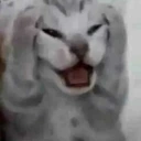 CatSTFU emote