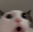 oooo emote