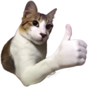 thumbsupcat emote