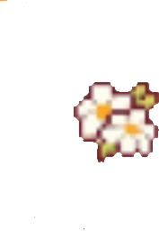 daisy emote