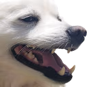kaka_snowball emote