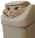 catbin emote
