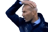 RESPECT emote