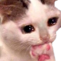 175_CatCryBite emote